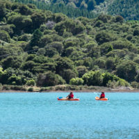 Spring Special Kayaking